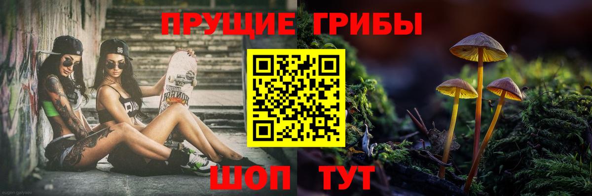Галлюциногенные грибы ЛСД  Галлюциногенные грибы Magic Shrooms  Вход с VPN  Азнакаево 